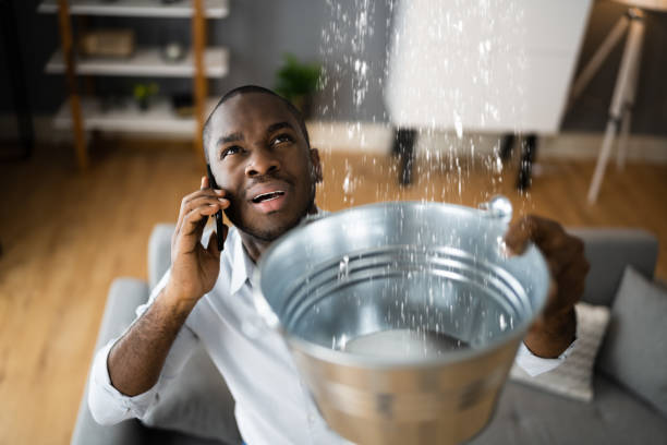 Best Flood damage cleanup  in Georgetown, CA