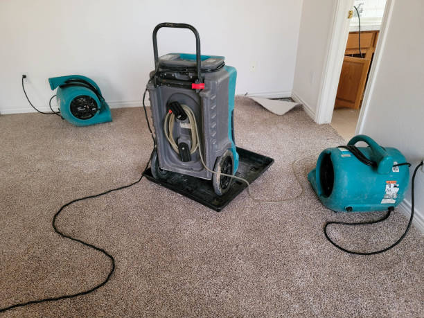 Best Water damage restoration company  in Georgetown, CA