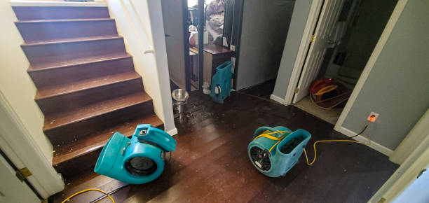Best Sewage cleanup and water damage restoration  in Georgetown, CA