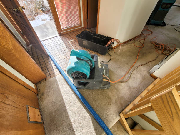 Best Water damage cleanup near me  in Georgetown, CA