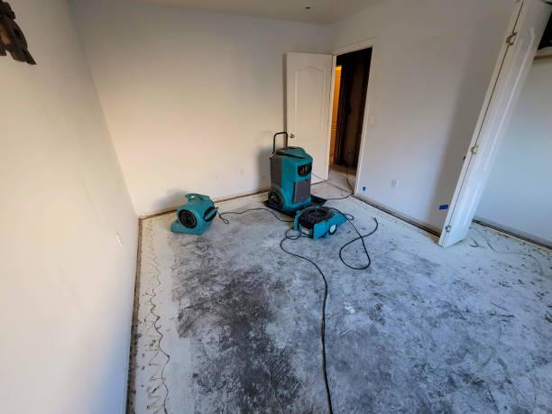 Best Local water damage restoration  in Georgetown, CA