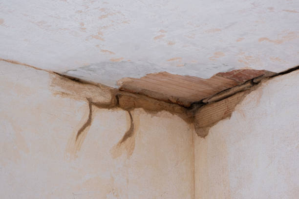 Best Water damage cleanup near me  in Georgetown, CA