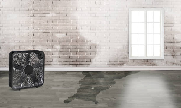 Best 24-hour water damage restoration  in Georgetown, CA