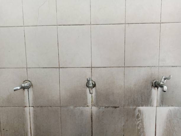 Best Mold removal after water damage  in Georgetown, CA