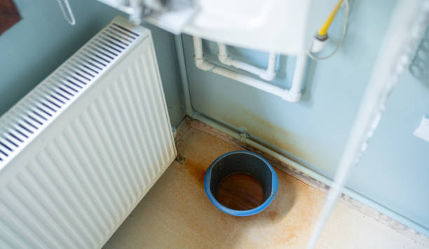 Best Ceiling water damage repair  in Georgetown, CA