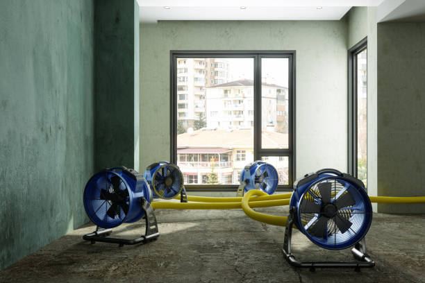 Best Basement water damage restoration  in Georgetown, CA