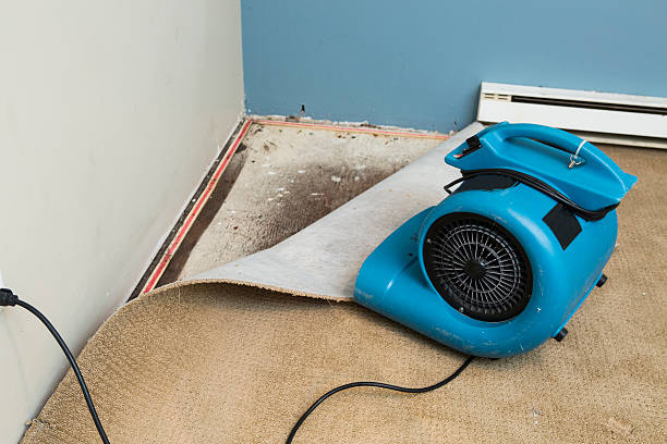 Best Emergency water damage restoration  in Georgetown, CA